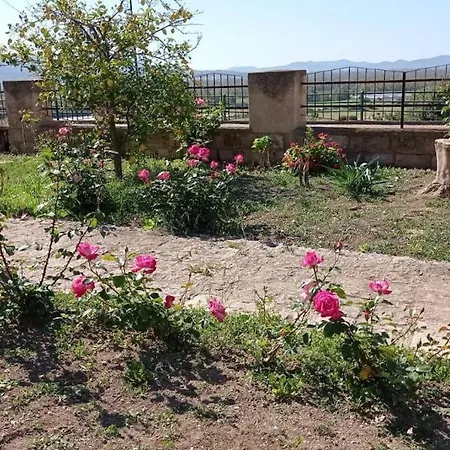 Casa Bellavista 別荘 *